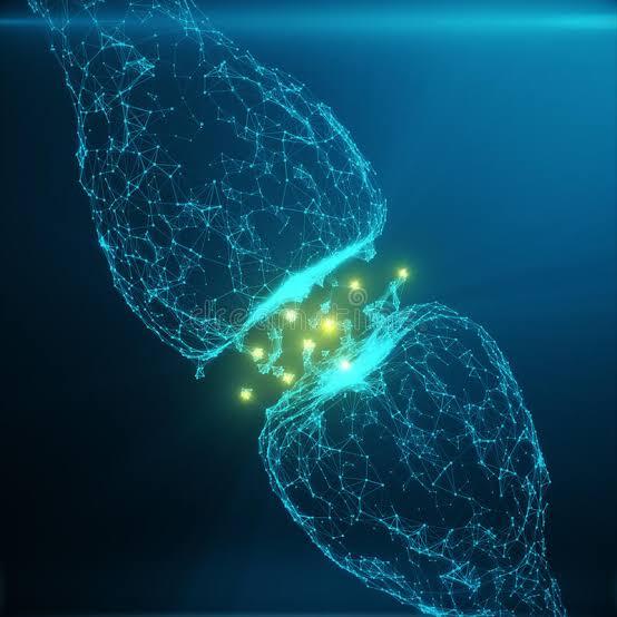 Imagem do grupo Biologia (Tira dúvidas)