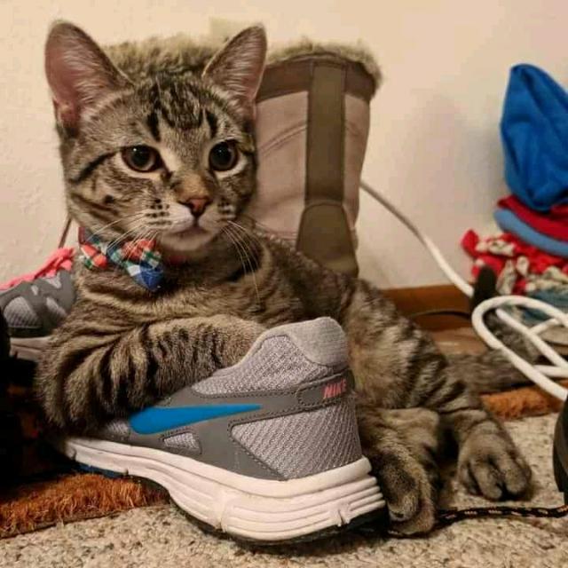 Imagem do grupo ✨ Amizades e Memes ✨