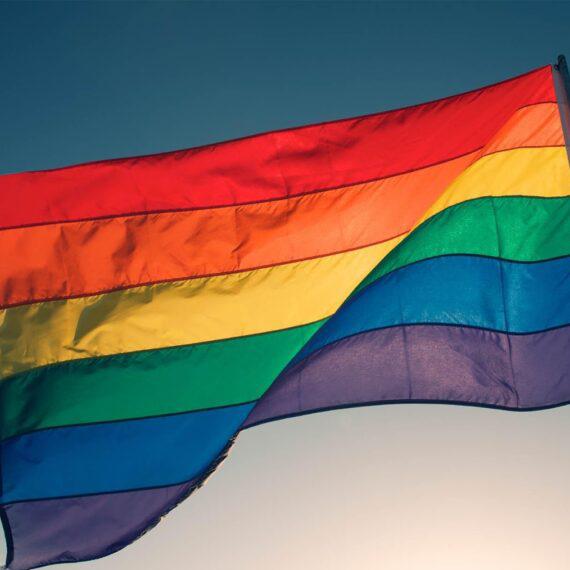 Imagem do grupo LGBT na área 🏳️‍🌈:)