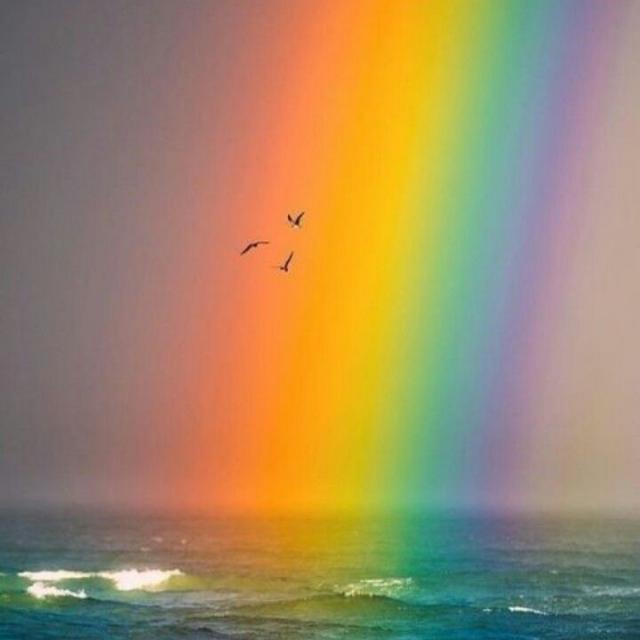 Imagem do grupo Apresentação Clã Rainbow