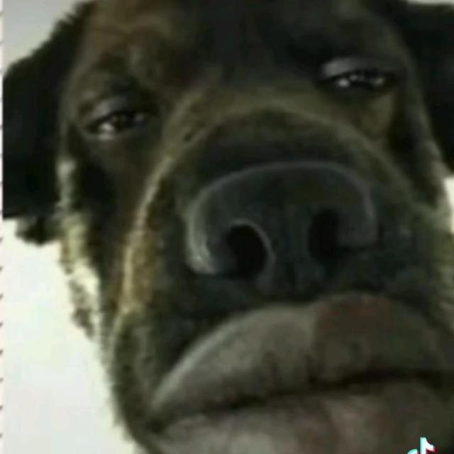 Imagem do grupo Jovens anarquistas