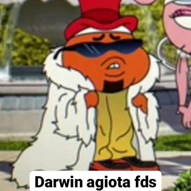 Imagem do grupo 🐻彡[𝐓𝐑𝐎𝐏𝐀 𝐃𝐎 𝐔𝐑𝐒𝐎 ]彡🐻