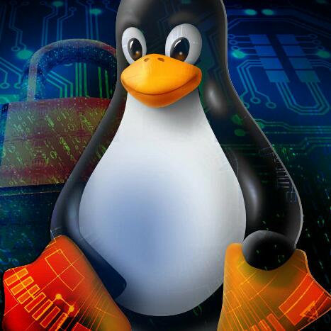 Imagem do grupo 🅒🅞🅜🅤🅝🅘🅓🅐🅓🅔 🅓🅞 🅛🅘🅝🅤🅧 🐧🇧🇷