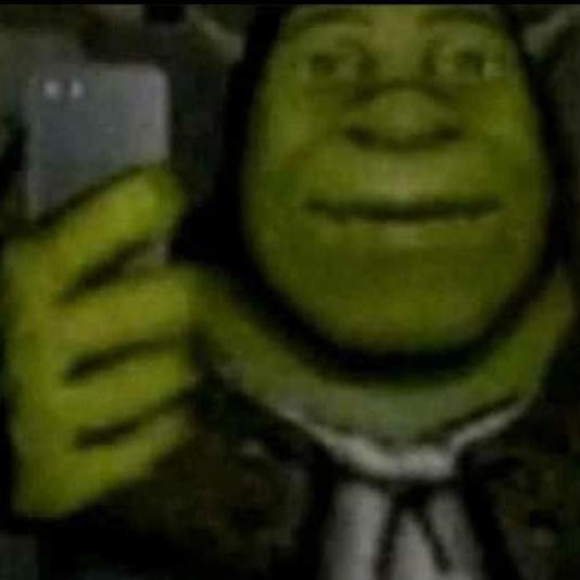Imagem do grupo Chat shrek💅💚