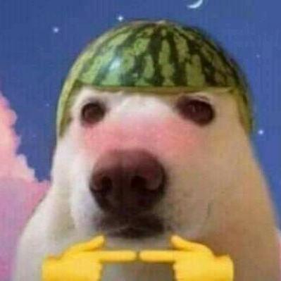 Imagem do grupo Amizades sem fim